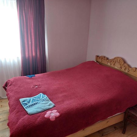 Guest House Tsasne Omalo Kültér fotó